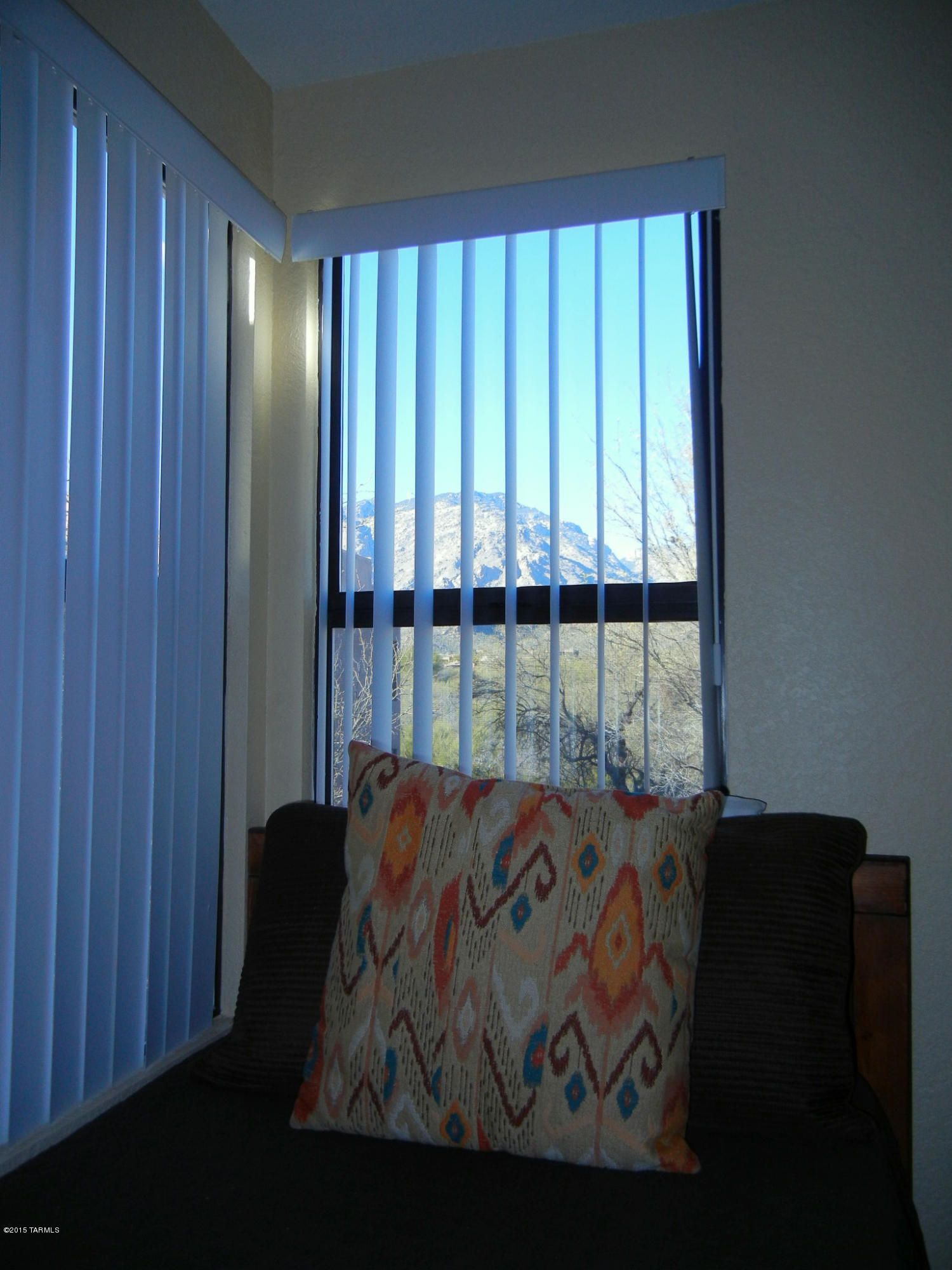 5800 North Kolb Road, Unit 8245 Tucson, AZ 85750 - Photo 9 of 19