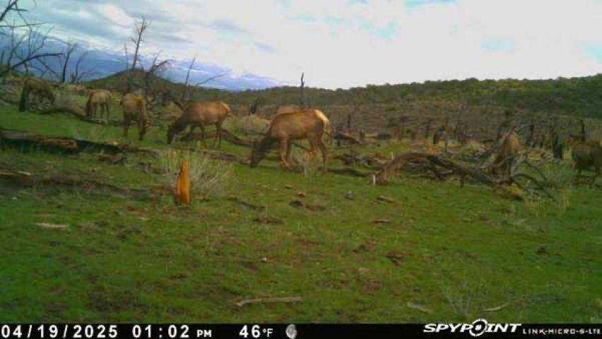 Tbd Tbd Tbd Mesa, CO 81643 - Photo 16 of 19