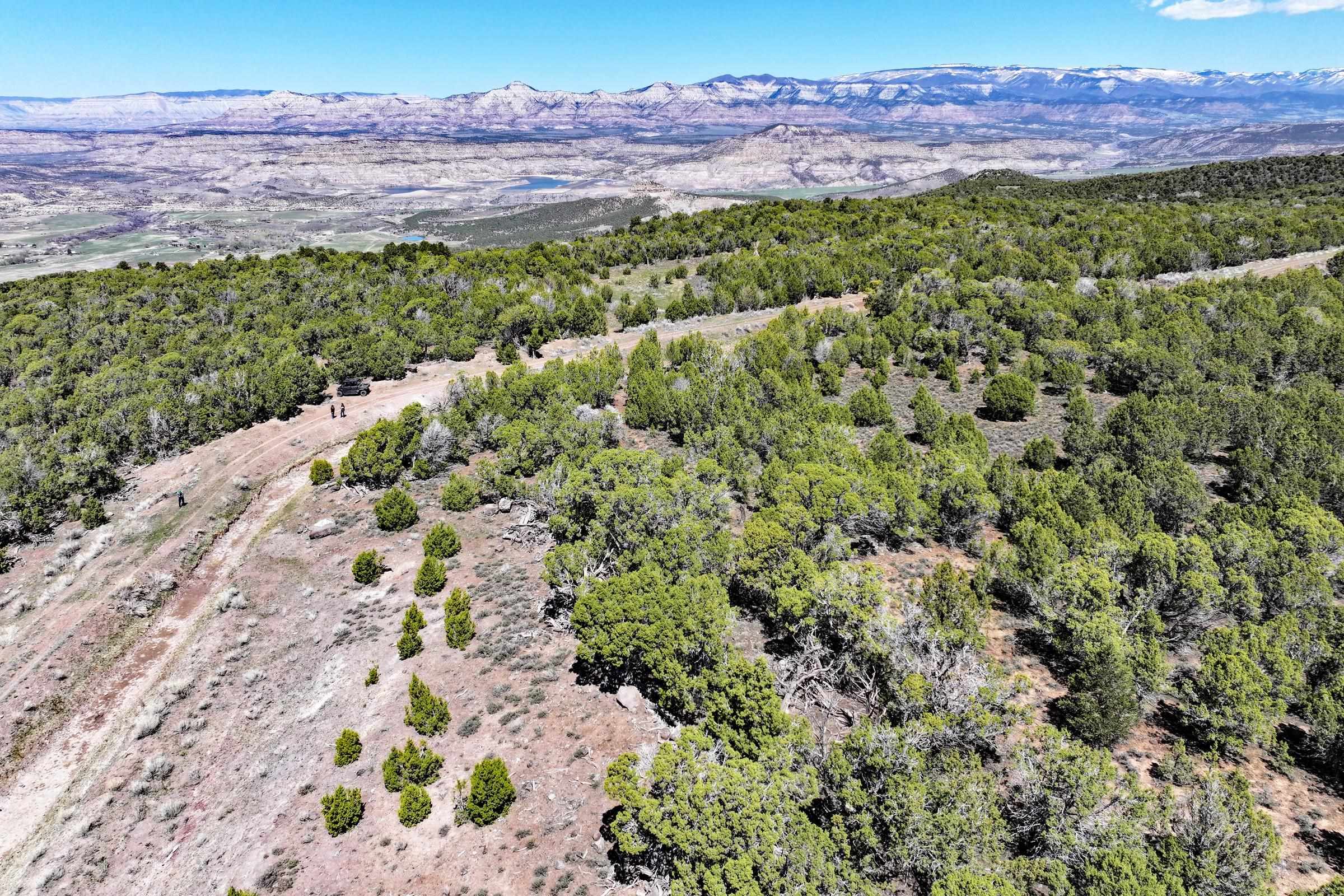 Tbd Tbd Tbd Mesa, CO 81643 - Photo 4 of 19 a view of an outdoor space and a yard