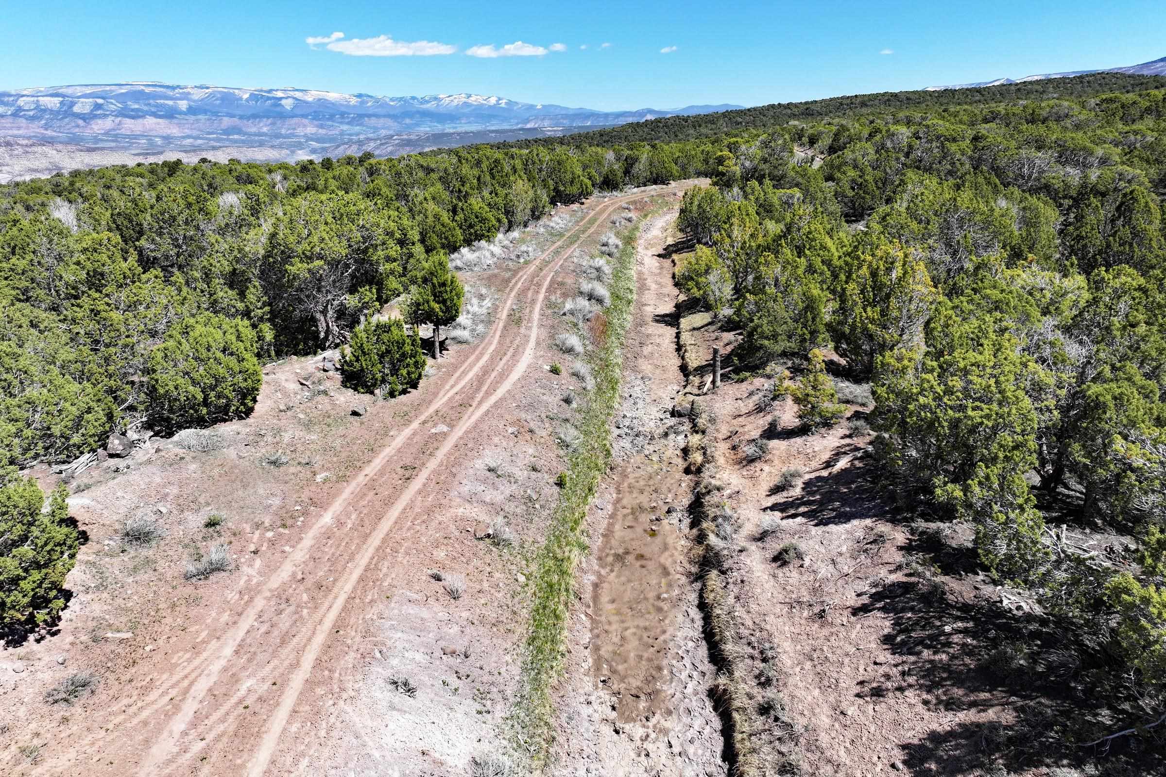 Tbd Tbd Tbd Mesa, CO 81643 - Photo 5 of 19 a view of a yard with an outdoor space
