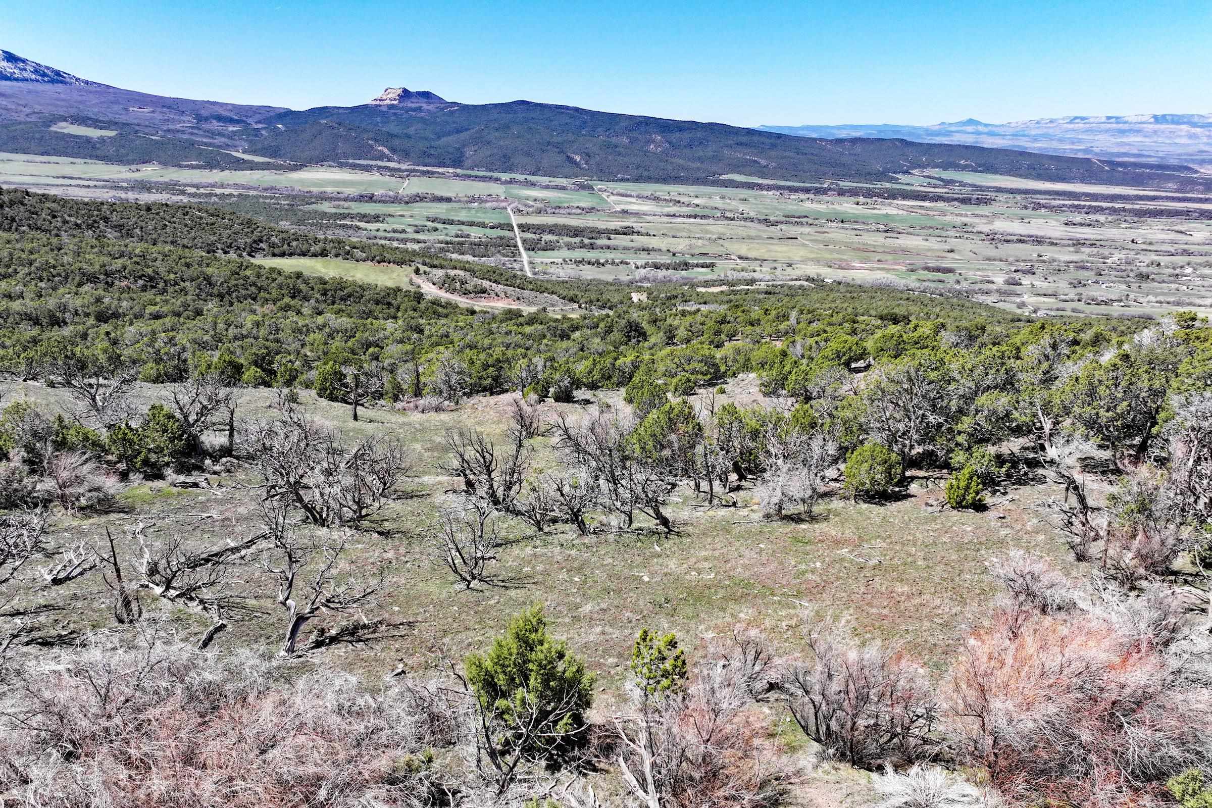 Tbd Tbd Tbd Mesa, CO 81643 - Photo 6 of 19 a view of a mountain with an outdoor space