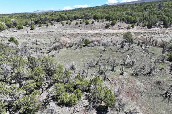 a view of a dry field