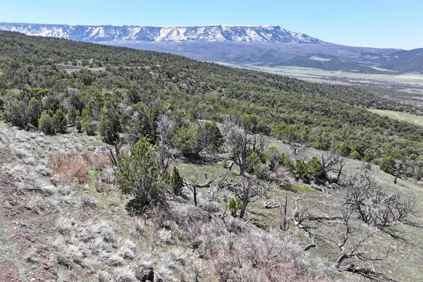 a view of a dry yard with mountains in the background