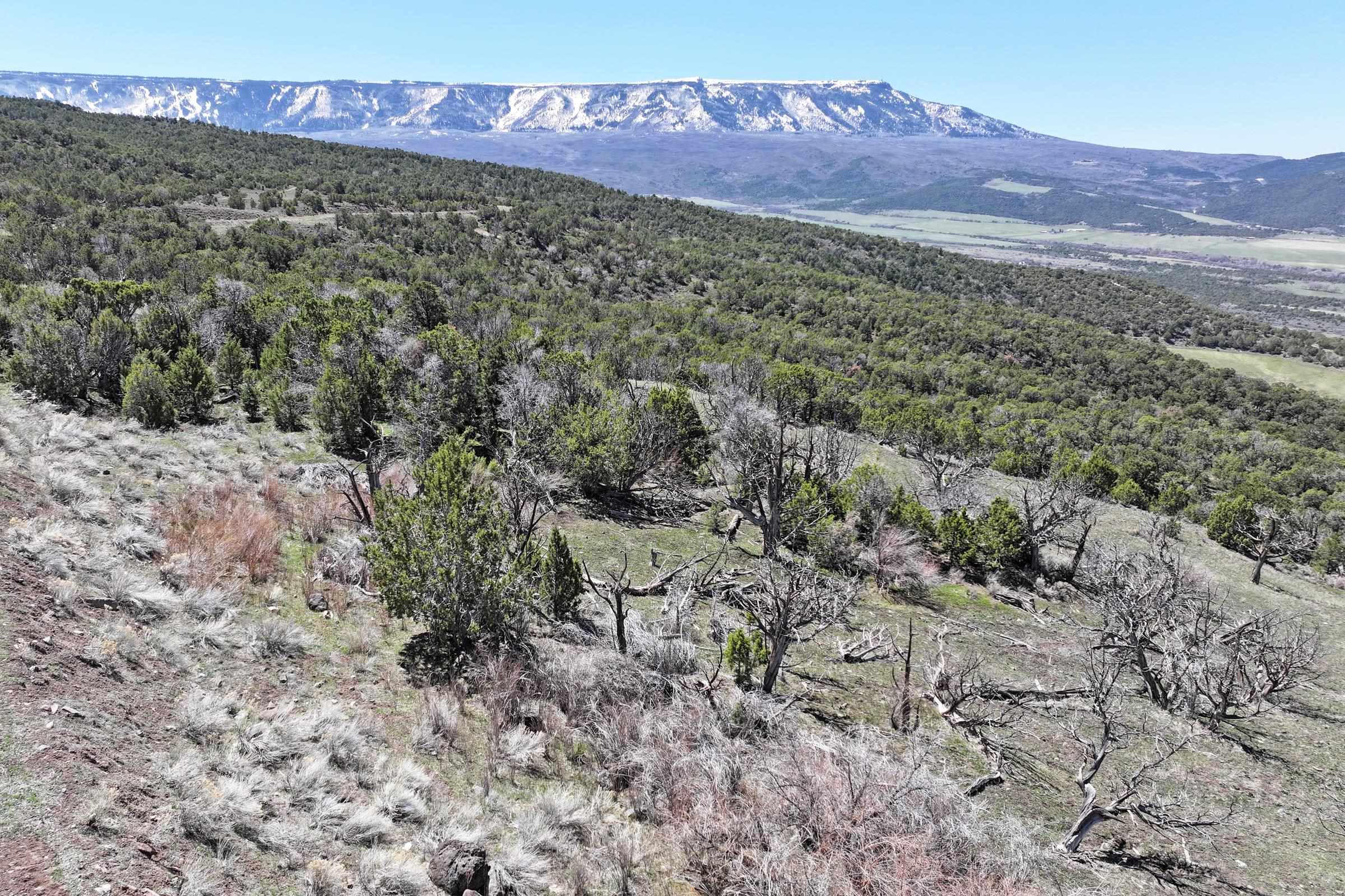 Tbd Tbd Tbd Mesa, CO 81643 - Photo 8 of 19 a view of a dry yard with mountains in the background
