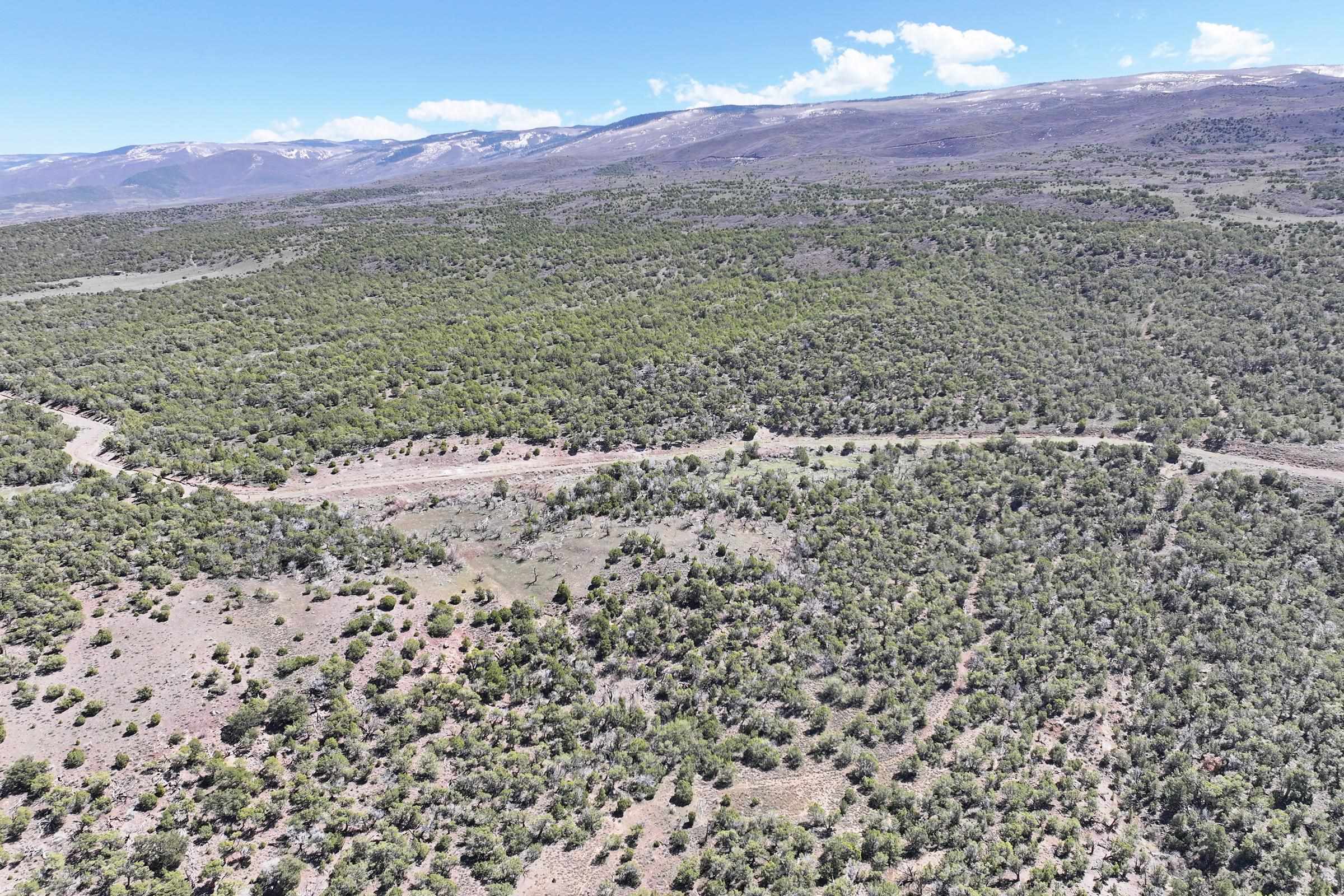 Tbd Tbd Tbd Mesa, CO 81643 - Photo 10 of 19 a view of a mountain in the distance