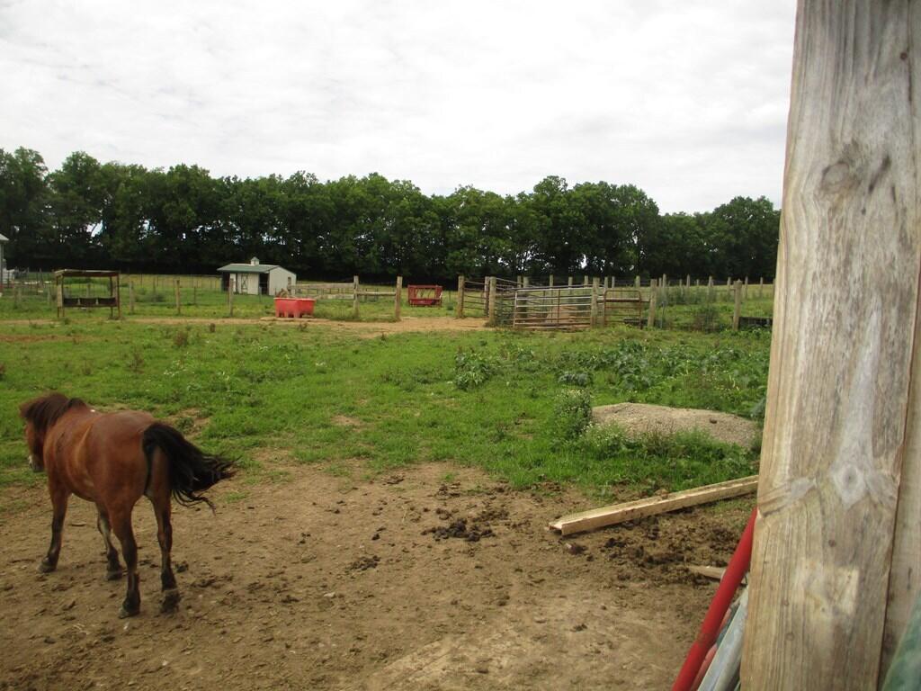 6429 Helena Road Mays Lick, KY 41055 - Photo 45 of 73 39011_40