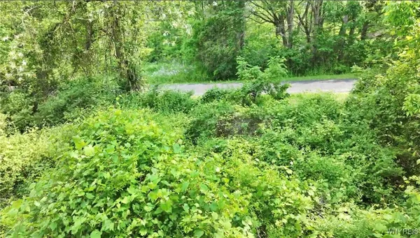 $19,999 | 0 Drew Road, Ithaca, NY 14850