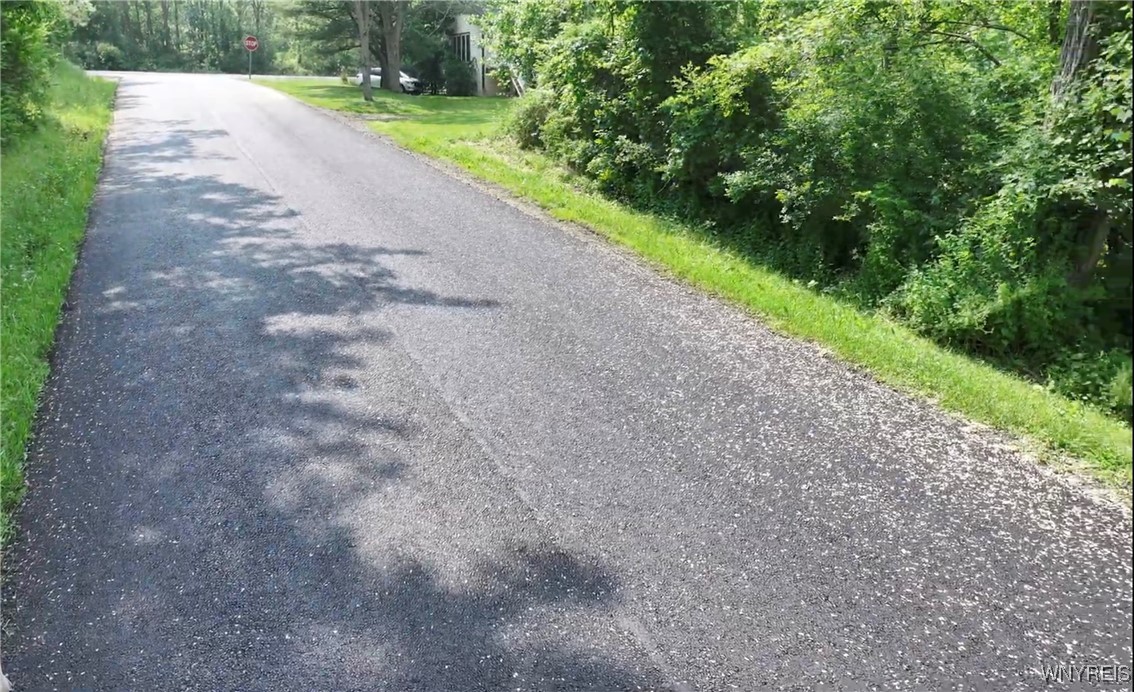 0 Drew Road Ithaca, NY 14850 - Photo 2 of 5