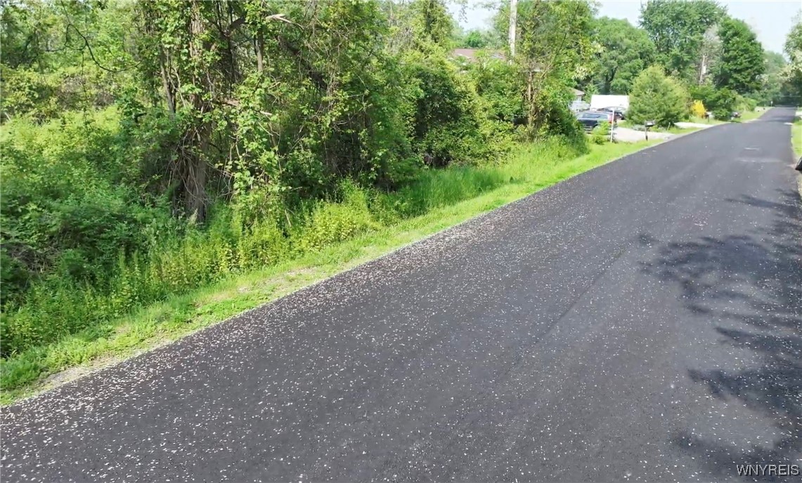 0 Drew Road Ithaca, NY 14850 - Photo 3 of 5