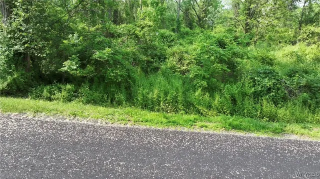 $19,999 | 0 Drew Road, Ithaca, NY 14850