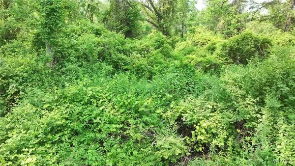 $19,999 | 0 Drew Road, Ithaca, NY 14850