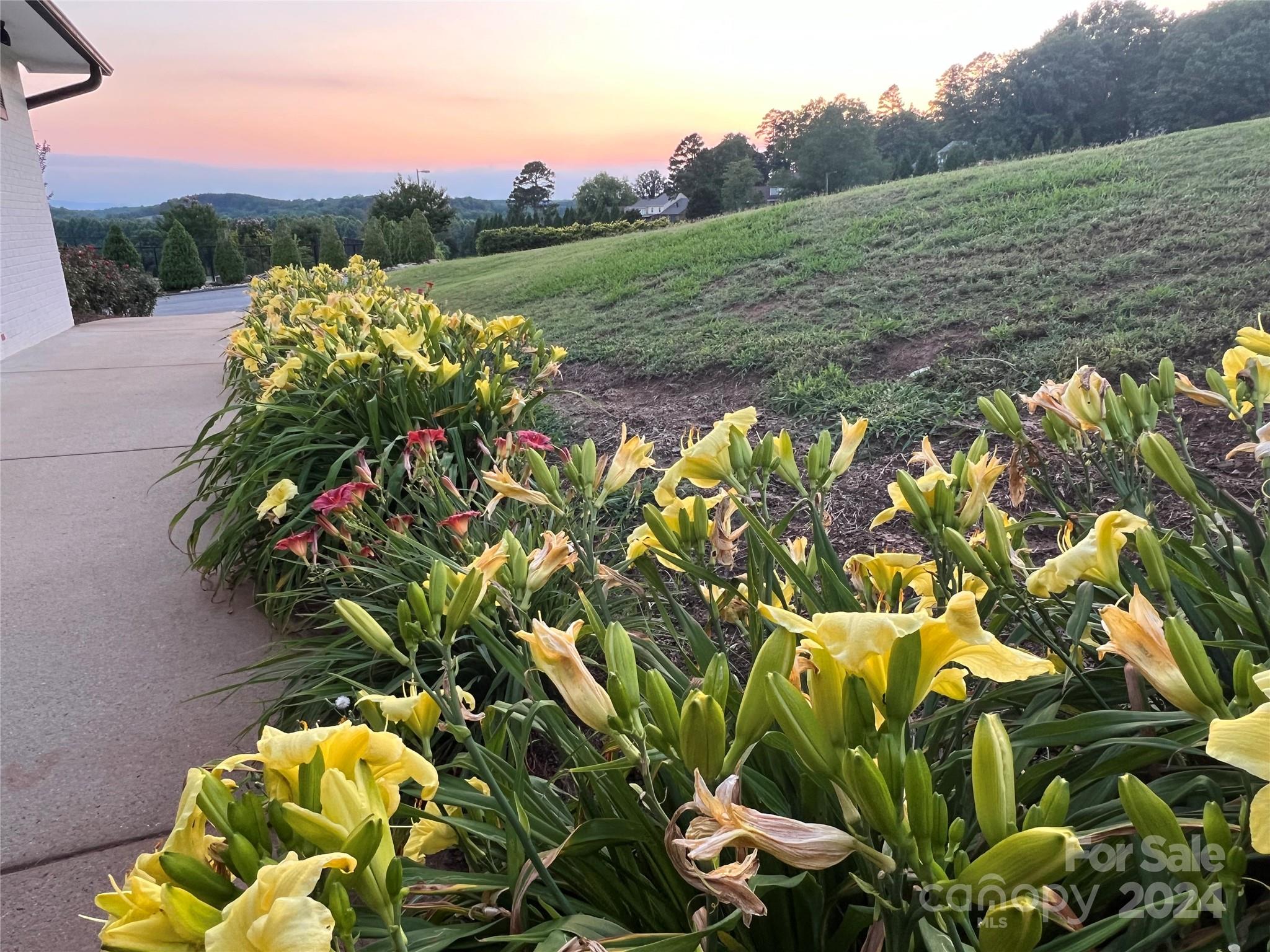 0 Moss Drive Rutherfordton, NC 28139 - Photo 13 of 16