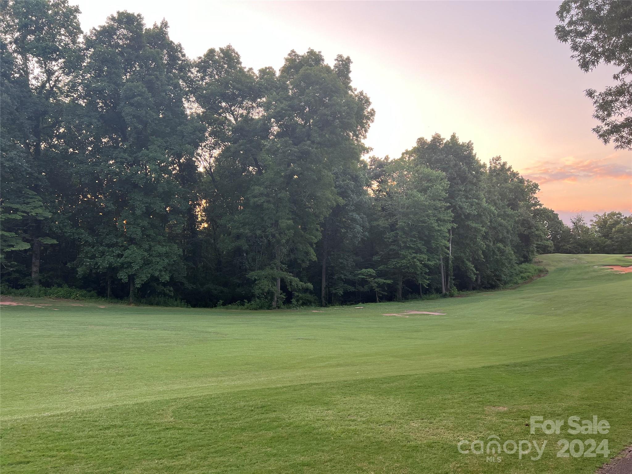 0 Moss Drive Rutherfordton, NC 28139 - Photo 5 of 16