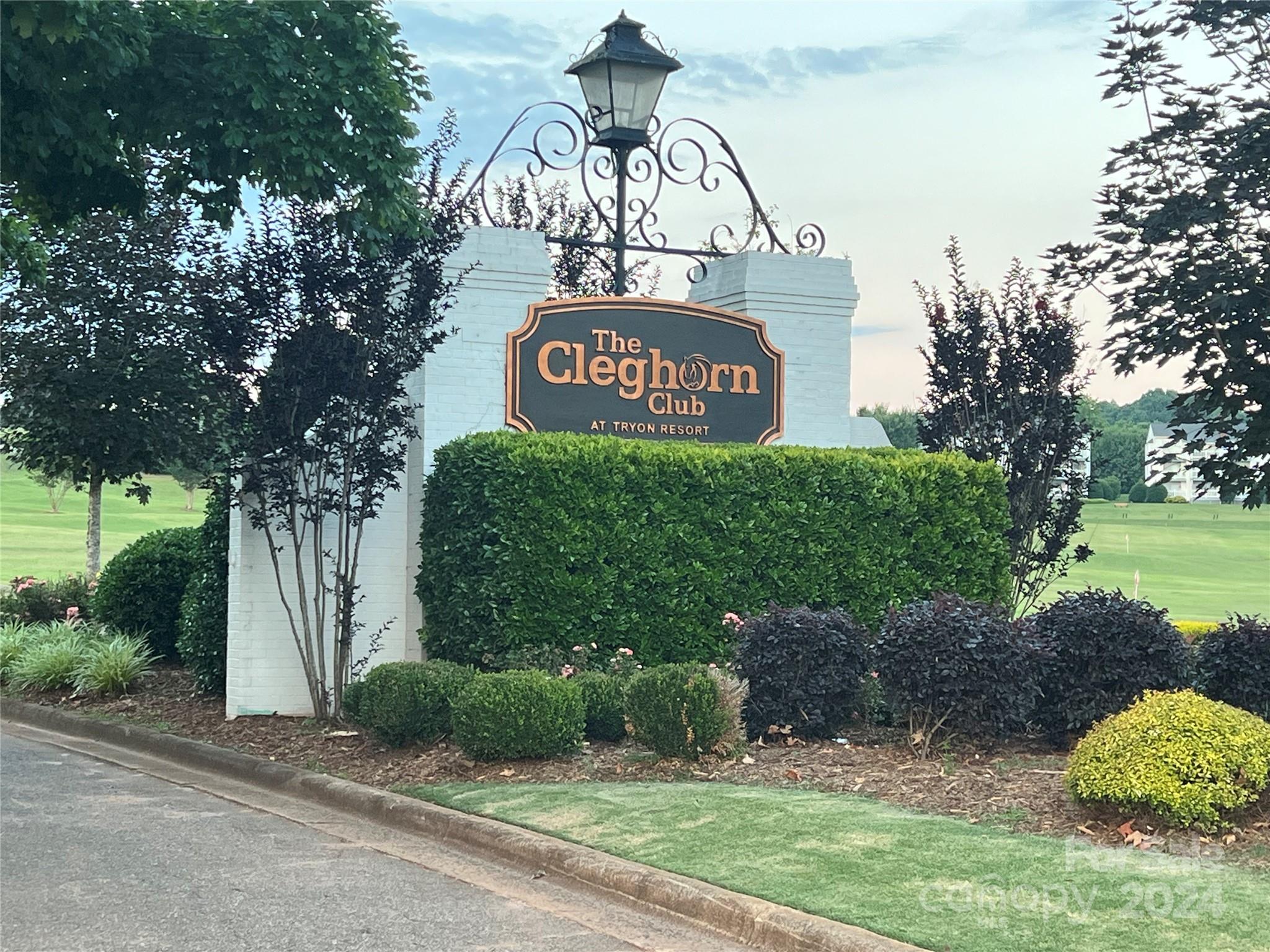 0 Moss Drive Rutherfordton, NC 28139 - Photo 6 of 16