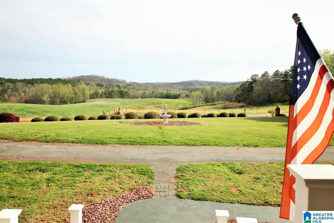 324 Mountain View Road Lineville, AL 36266 - Photo 3 of 50