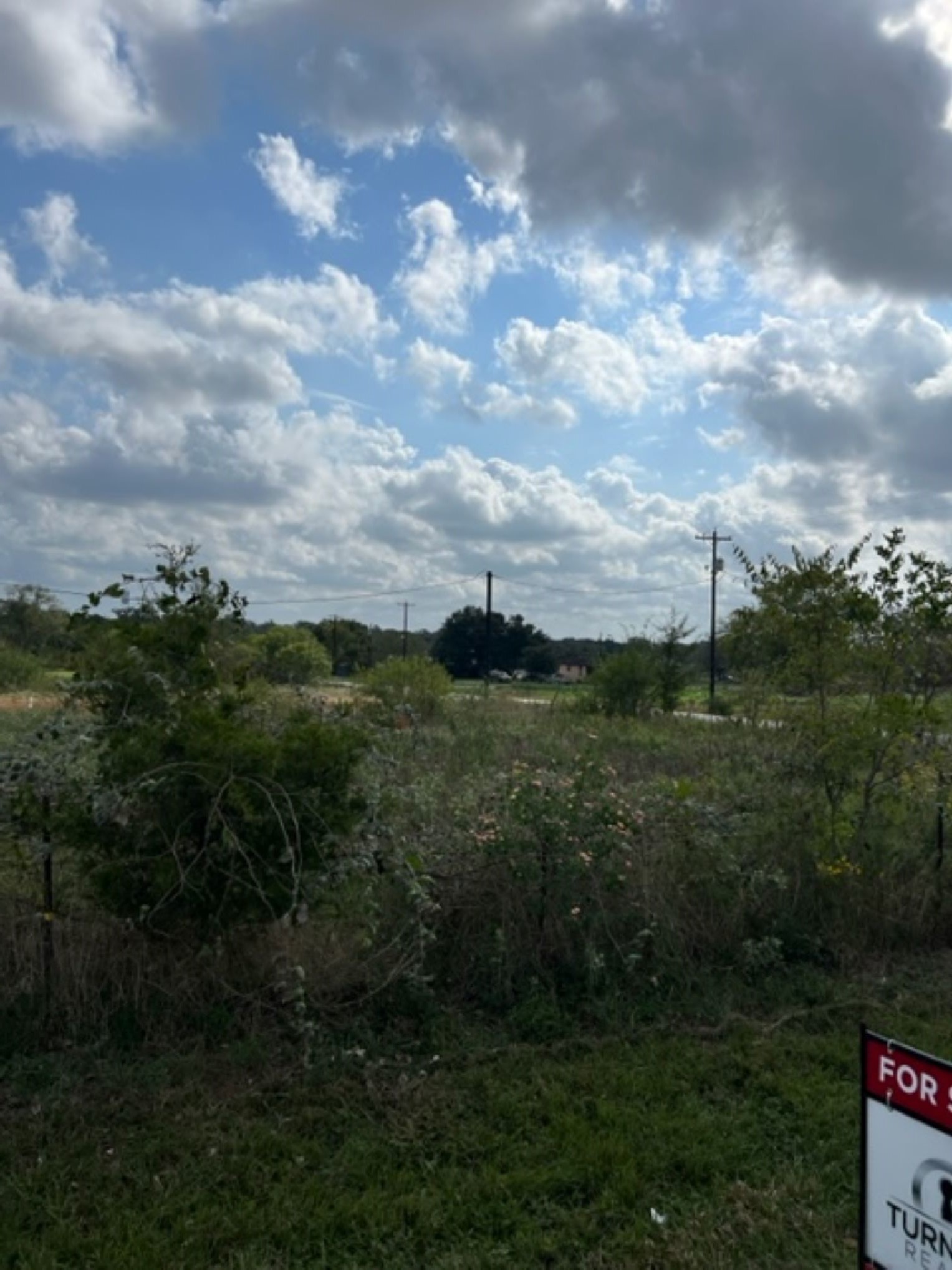Lot 1 21st Street Hempstead, TX 77445 - Photo 3 of 10 a view of a yard
