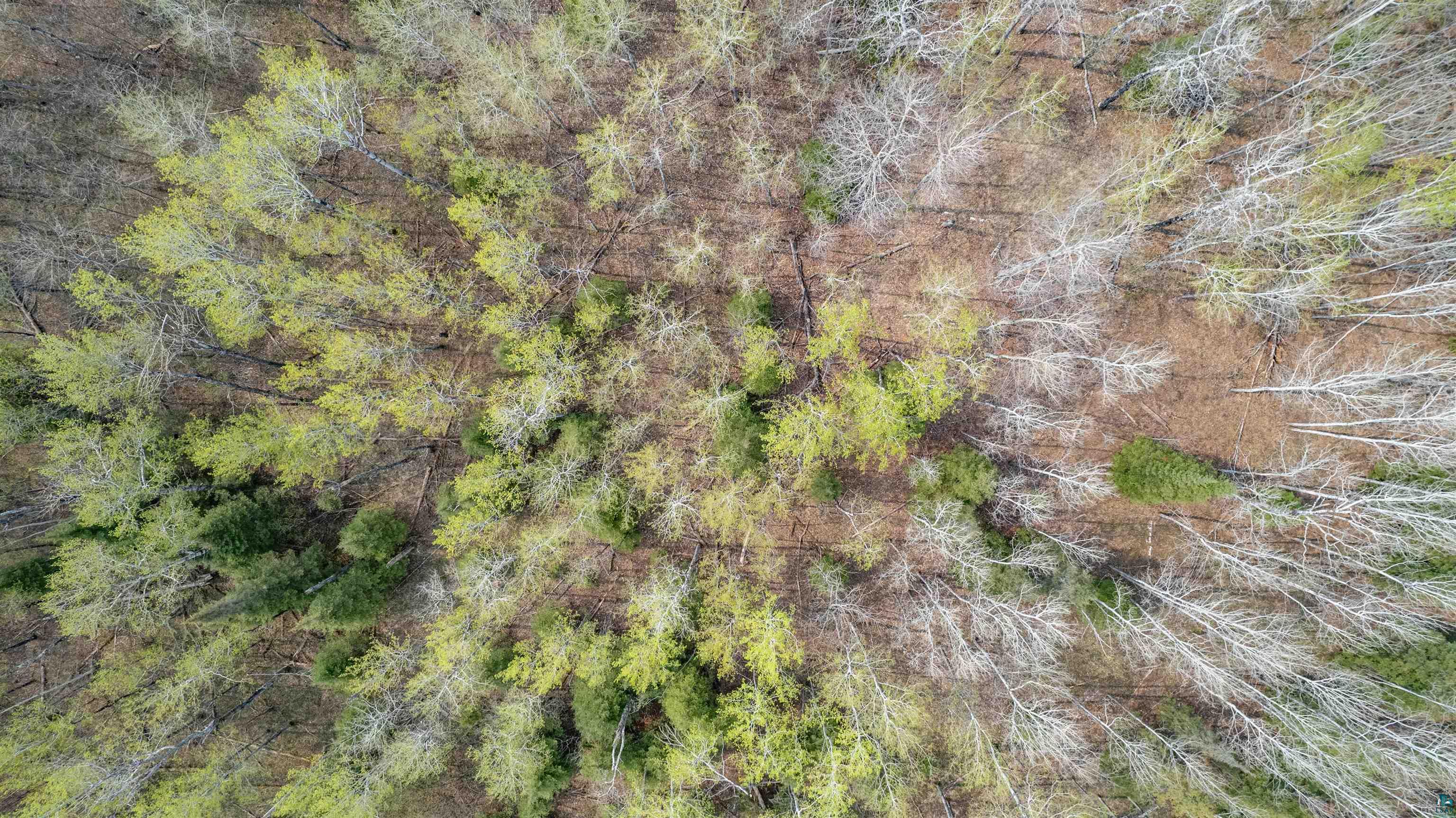 982 Isackson Road Two Harbors, MN 55616 - Photo 6 of 10