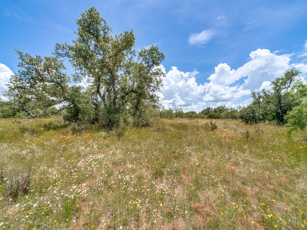 Tbd Hickory Grove Road Pontotoc, TX 76869 - Photo 11 of 19