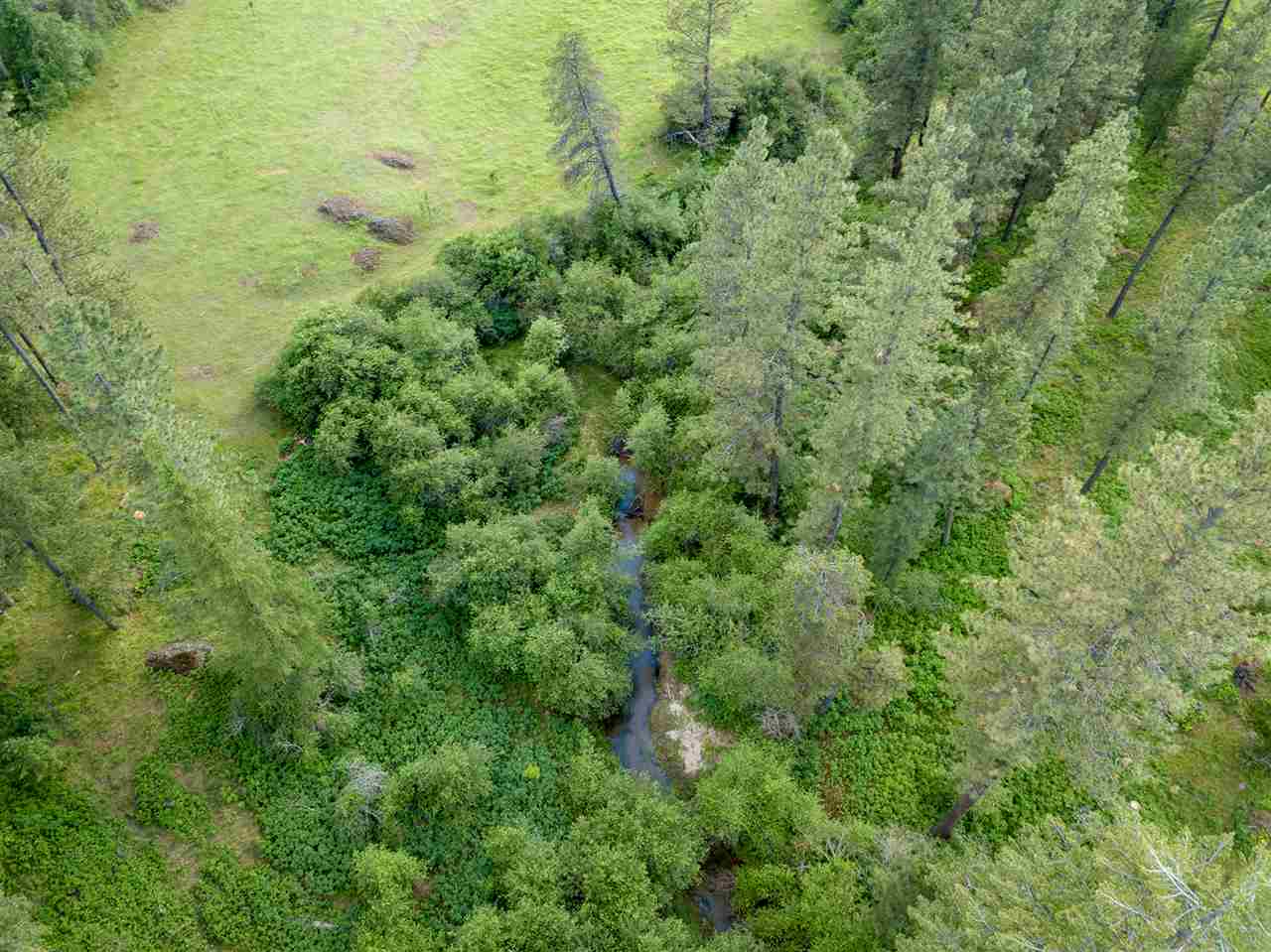 Parcel B North Elk Chattaroy Road Chattaroy, WA 99003 - Photo 10 of 20 Gallery Image 10