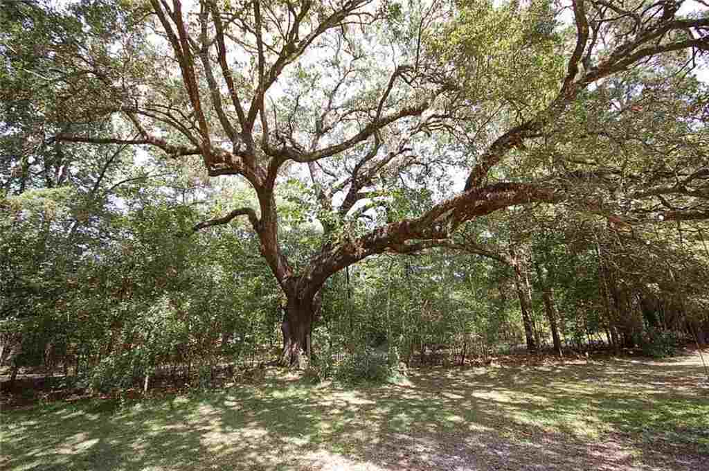 125 Dummyline Road Madisonville, LA 70447 - Photo 26 of 26 Gallery Image 26
