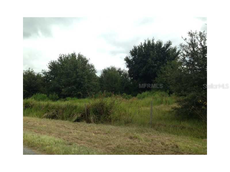 15707 Alderman Turner Road Wimauma, FL 33598 - Photo 1 of 1 Land/Lot