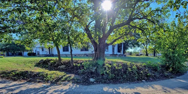 a view of a garden with large trees