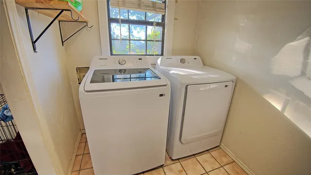 a view of a big yard with plants and large trees