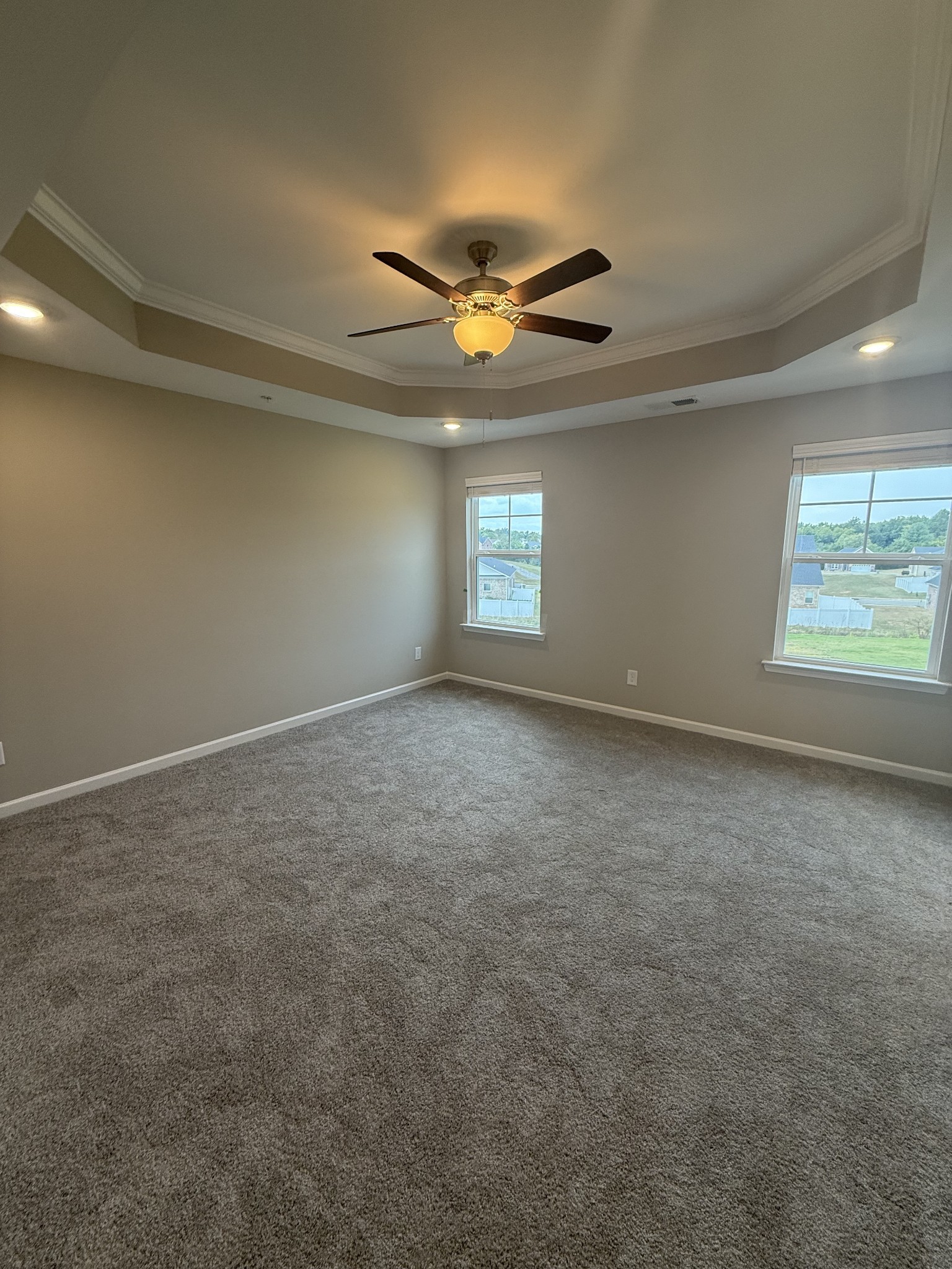 258 Selesia Lane Pleasant View, TN 37146 - Photo 11 of 17 an empty room with windows and fan