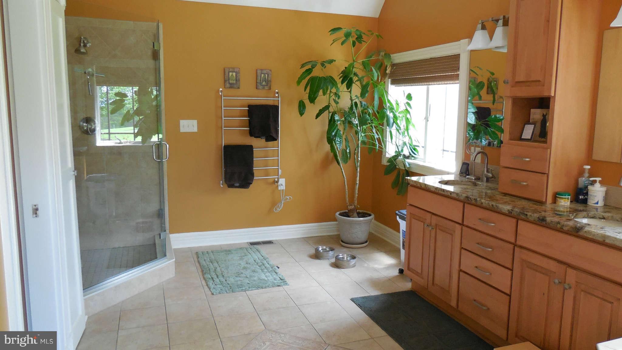 6132 Moser Road Boonsboro, MD 21713 - Photo 15 of 30 Bath (Master)