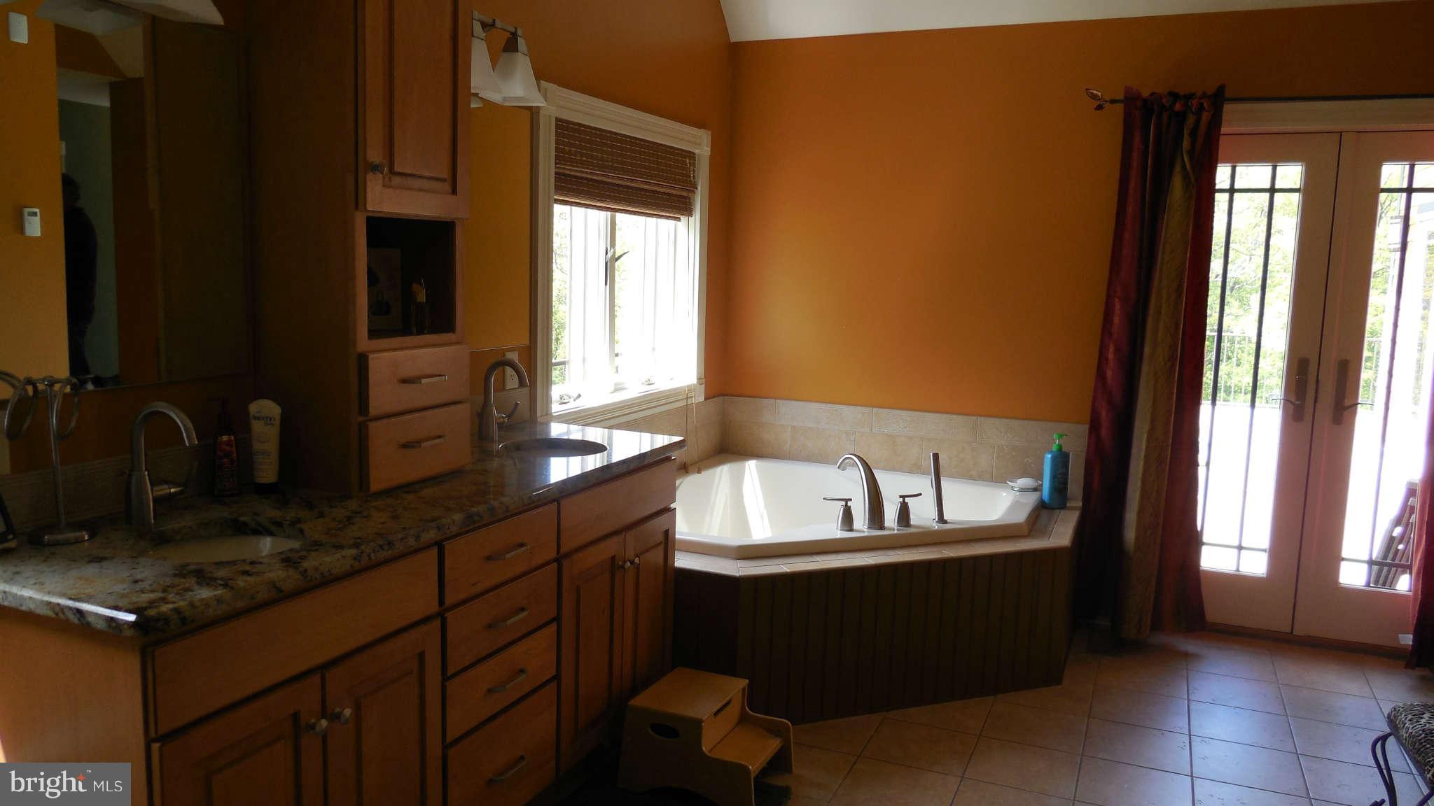 6132 Moser Road Boonsboro, MD 21713 - Photo 16 of 30 Bath (Master)