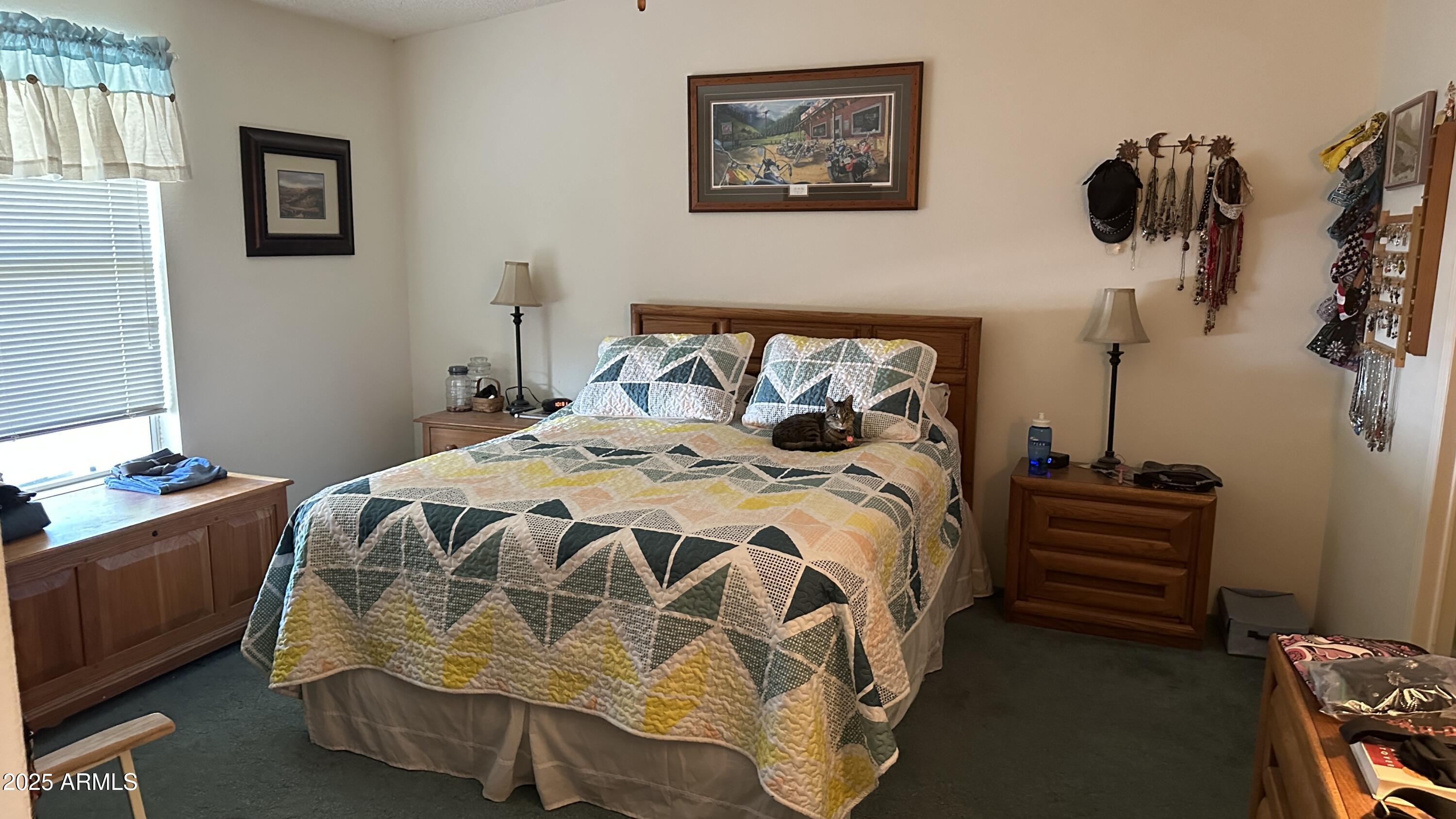 834 South Meridian Road, Unit 126 Apache Junction, AZ 85120 - Photo 24 of 36 IMG_7274