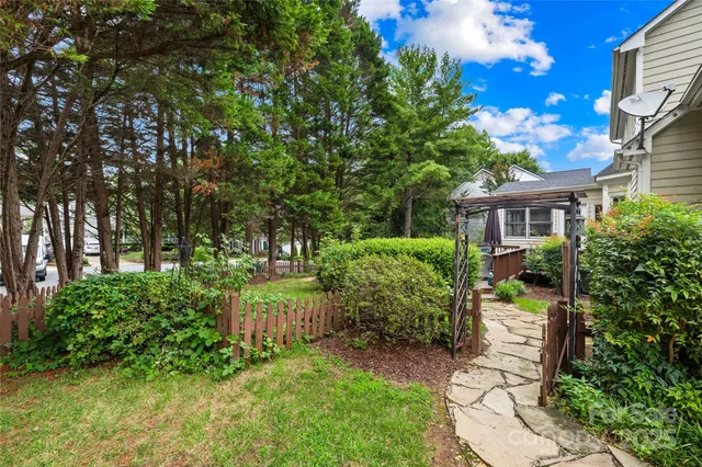 a view of a garden with plants and large trees