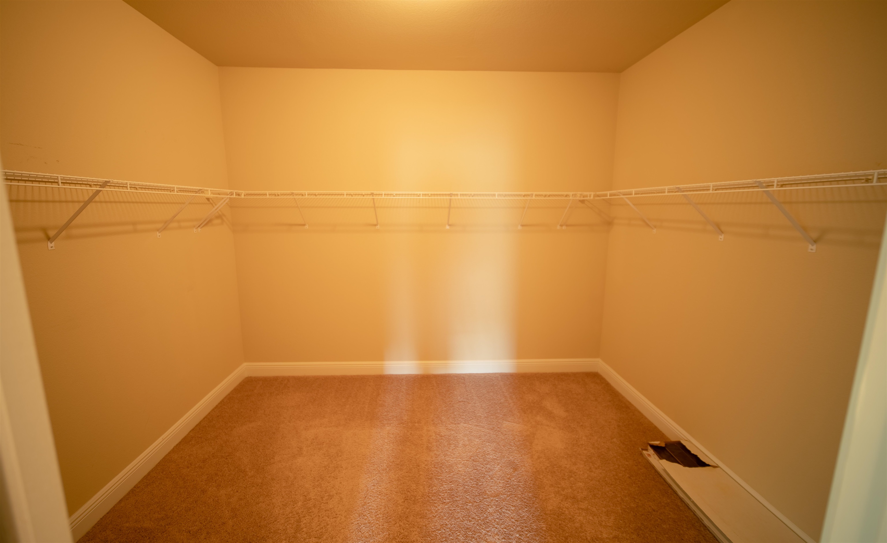 35875 Cramblitt Lane Bay Minette, AL 36507 - Photo 32 of 45 Primary Closet