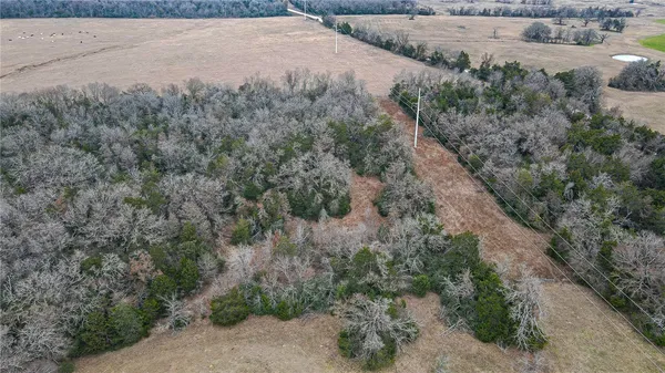 an aerial view of forest