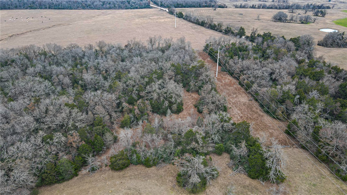 0 Lcr 705 Kosse, TX 76653 - Photo 4 of 9 an aerial view of forest