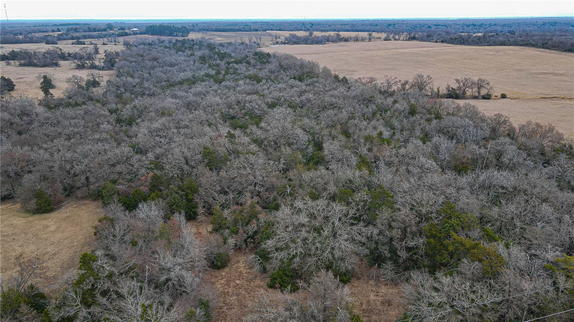 0 Lcr 705 Kosse, TX 76653 - Photo 5 of 9 a view of a lake from a yard