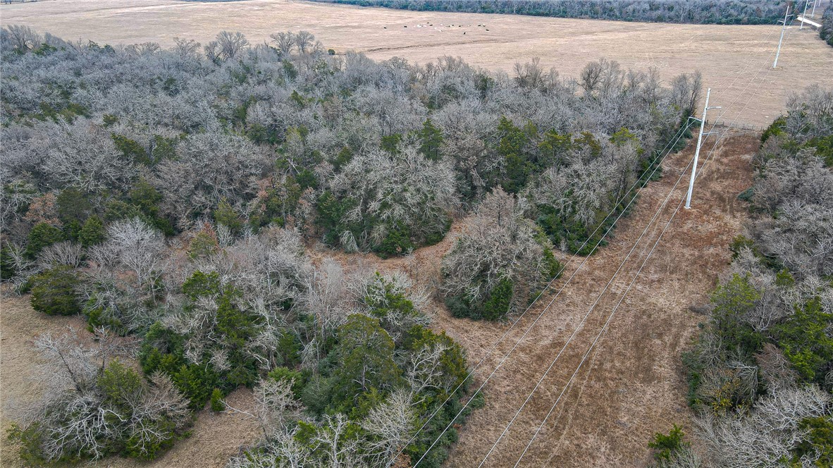 0 Lcr 705 Kosse, TX 76653 - Photo 7 of 9 a view of a forest with trees