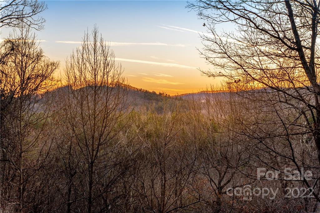 77 Ivy Cove Road Fairview, NC 28730 - Photo 36 of 40 Gallery Image 36