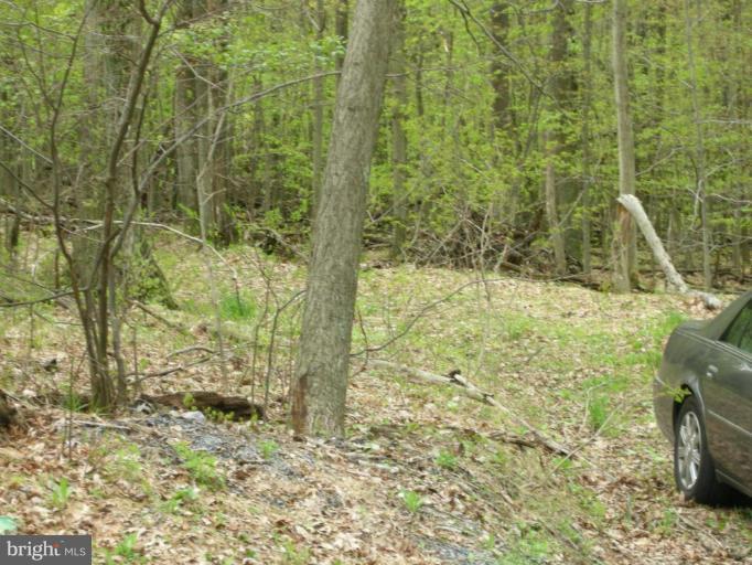 4810 Middlepoint Road Myersville, MD 21773 - Photo 1 of 1 Wooded View / Acreage