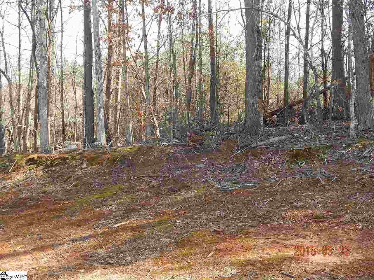 364 Springdale Avenue Liberty, SC 29657 - Photo 34 of 34 Gallery Image 34
