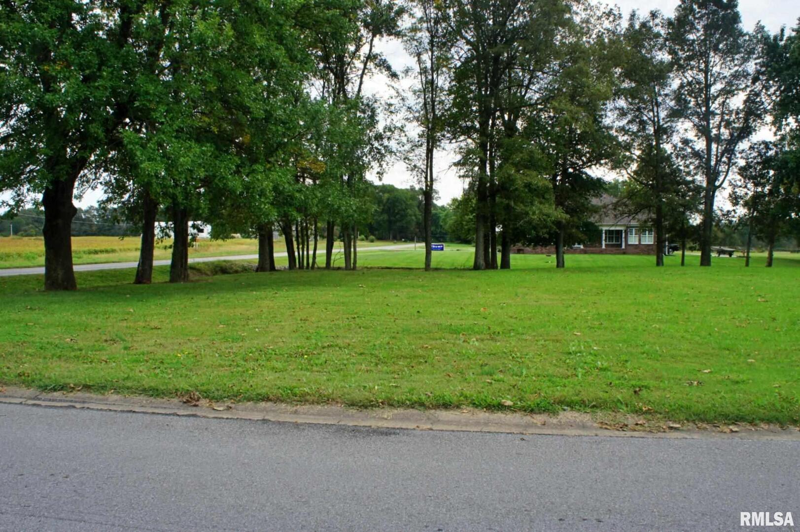 0 Hawthorne Lane Metropolis, IL 62960 - Photo 11 of 12 a view of a park with large trees
