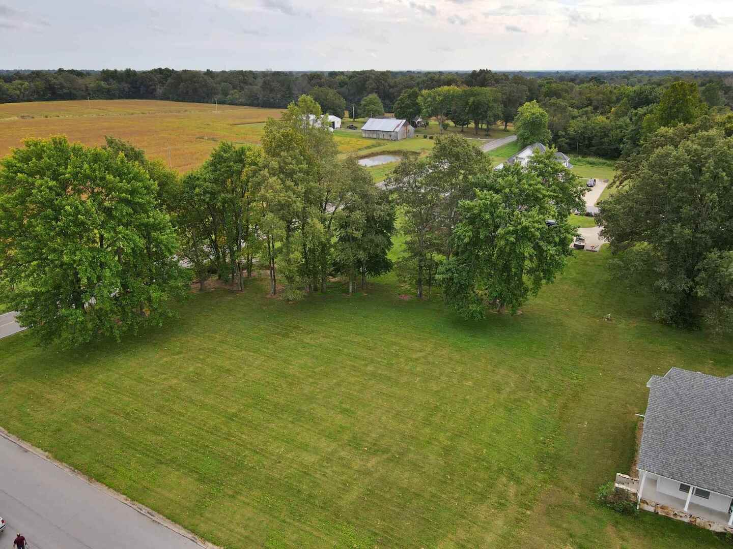 0 Hawthorne Lane Metropolis, IL 62960 - Photo 4 of 12 a view of a lake view