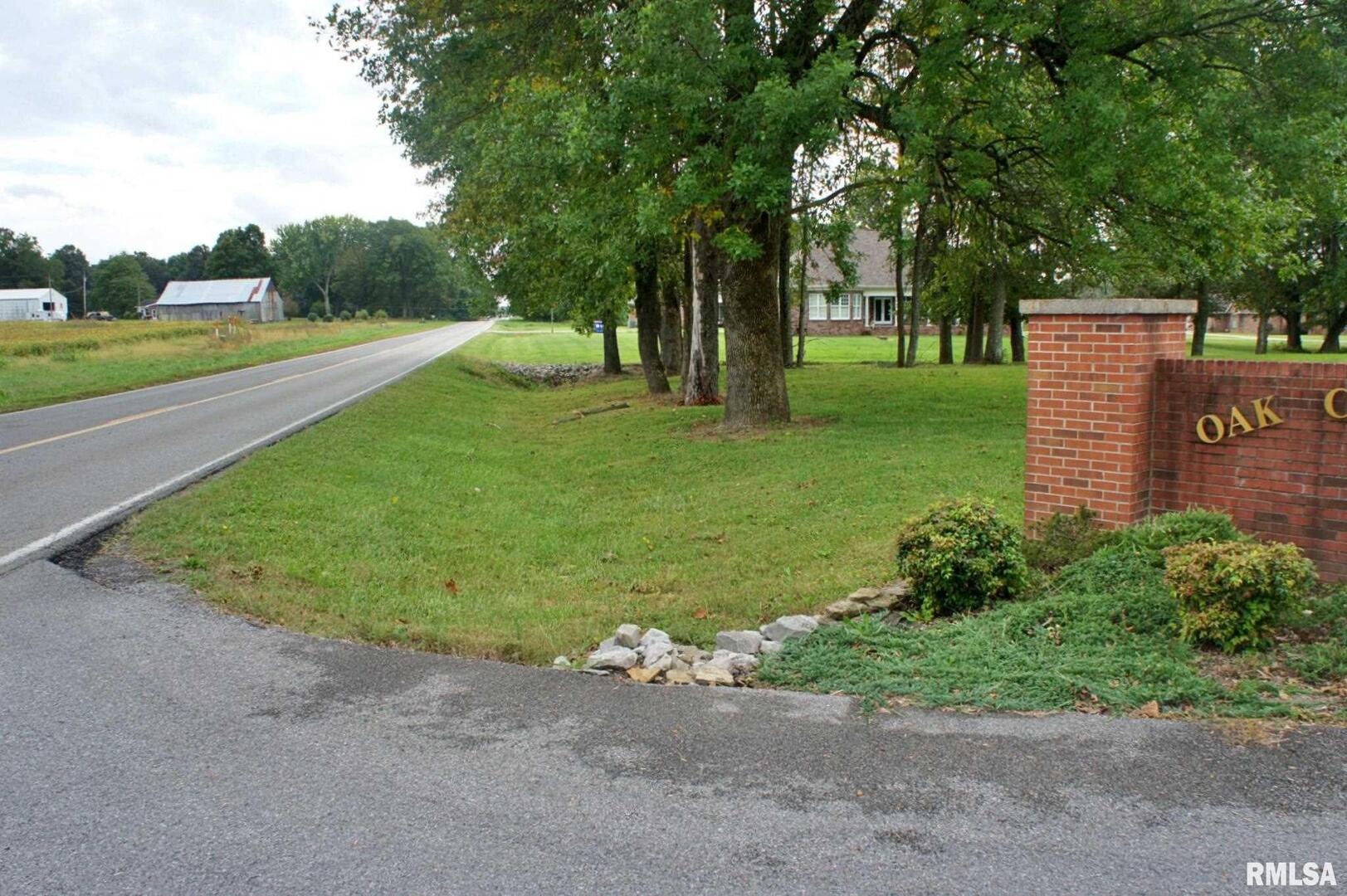 0 Hawthorne Lane Metropolis, IL 62960 - Photo 9 of 12 a view of a park with large trees