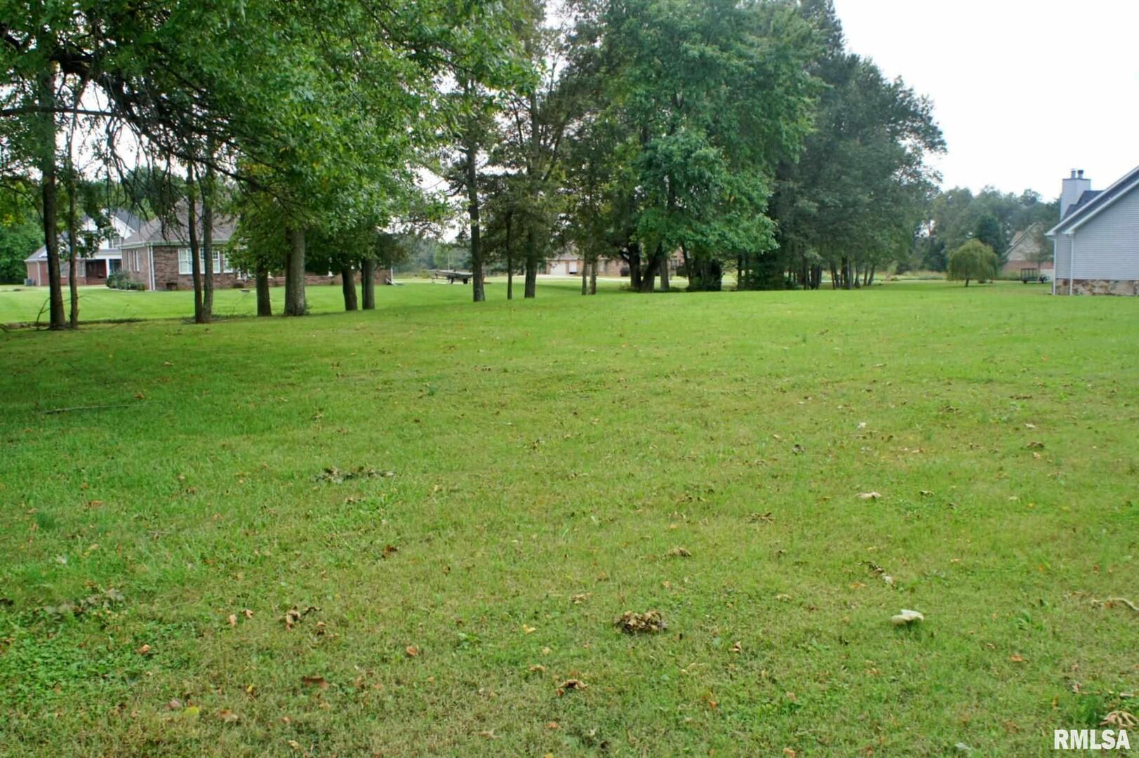 0 Hawthorne Lane Metropolis, IL 62960 - Photo 10 of 12 a view of a grassy field with trees