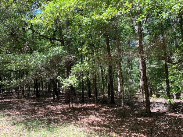 $45,000 | O O Cobb Court, Walterboro, SC 29488
