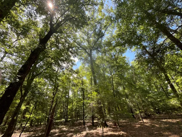 $45,000 | O O Cobb Court, Walterboro, SC 29488