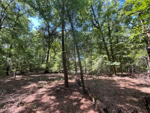 $45,000 | O O Cobb Court, Walterboro, SC 29488