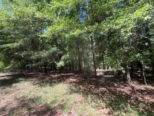 $45,000 | O O Cobb Court, Walterboro, SC 29488