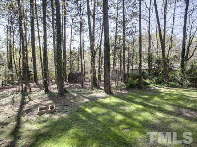 3487 Hope Valley Road Durham, NC 27707 - Photo 23 of 25 So much privacy!