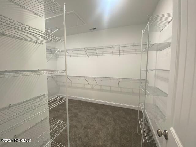 1471 Lancaster Road Pikeville, NC 27863 - Photo 21 of 23 Walk In Closet